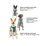 Kurgo Journey Air Dog Harness