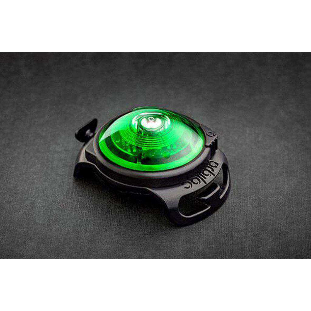 Orbiloc Safety Light - Various Colours-Dog Accessories-Orbiloc-Green-Dofos Pet Centre