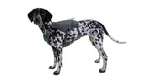 Ruffwear Switchbak Dog Harness
