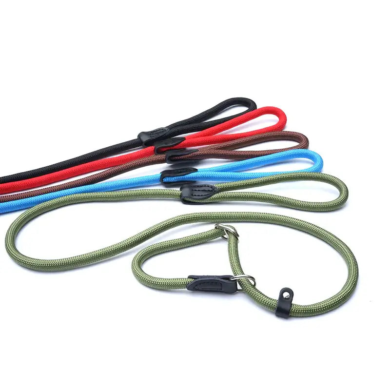 Slip Dog Lead with Figure 8 Training Aid