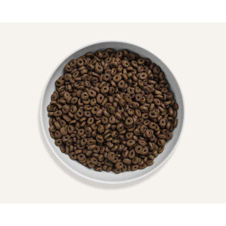 Canagan puppy dog top food