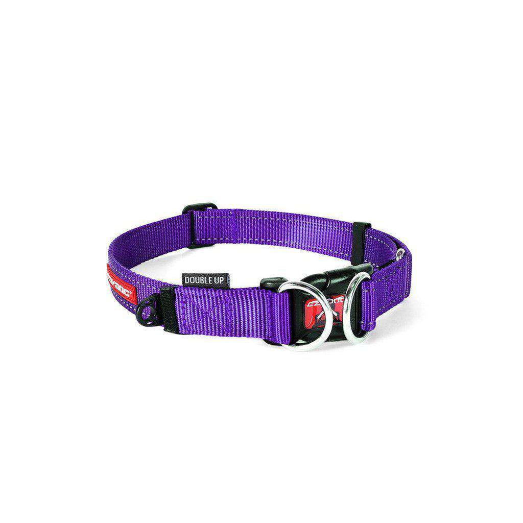 EzyDog Double Up Dog Collar - All Colours-Dog Collar-Ezydog-S-Purple-Dofos Pet Centre
