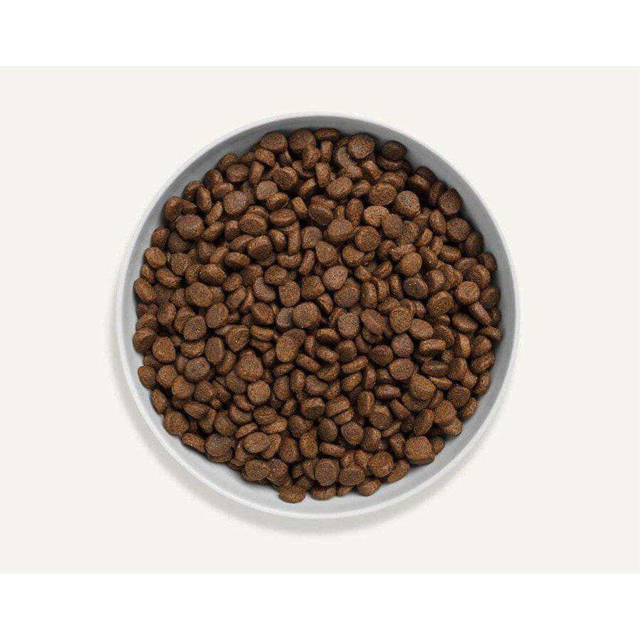 Canagan cat food top