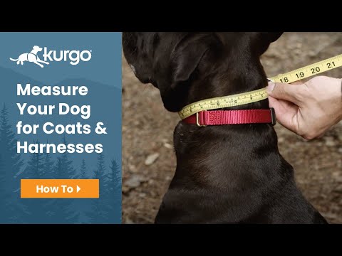 Kurgo Journey Air Dog Harness
