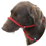 Slip Dog Lead with Figure 8 Training Aid