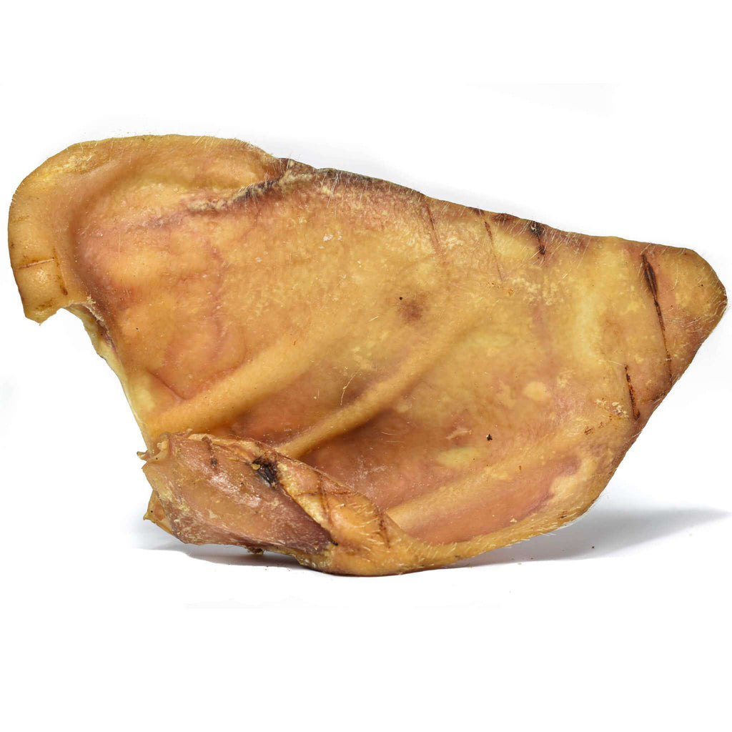 Pig's Ear Dog Treat-Dog Treat-Dofos Pet Centre-Dofos Pet Centre