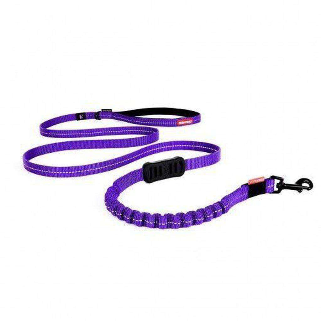 EzyDog Zero Shock Lite Lead 48'' - All Colours-Dog Lead-Ezydog-Purple-Dofos Pet Centre